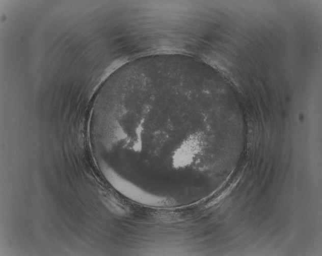 X0000067871170200604271728