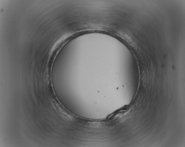 X0000067871172200604271728