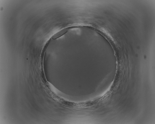 X0000067871173200604271728