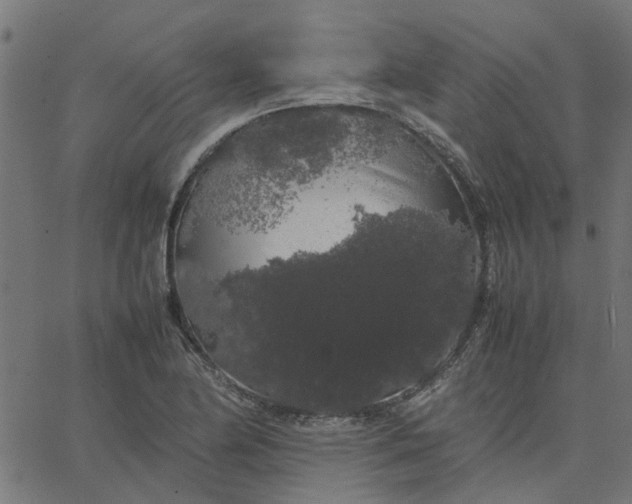 X0000067871174200604271728