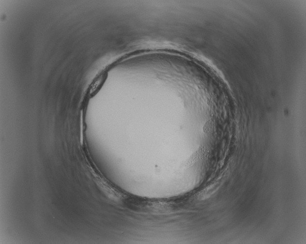 X0000067871175200604271728