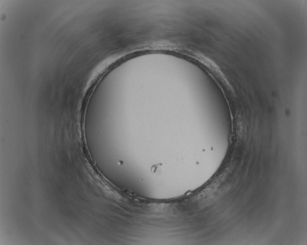 X0000067871176200604271728