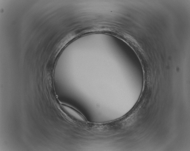 X0000067871177200604271728