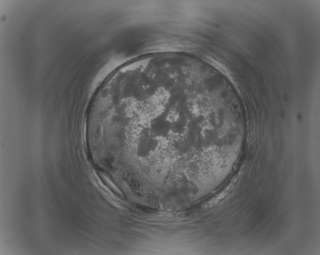 X0000067871179200604271728