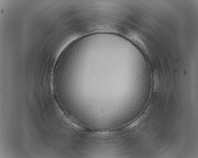 X0000067871182200604271728