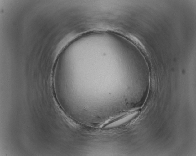 X0000067871183200604271728