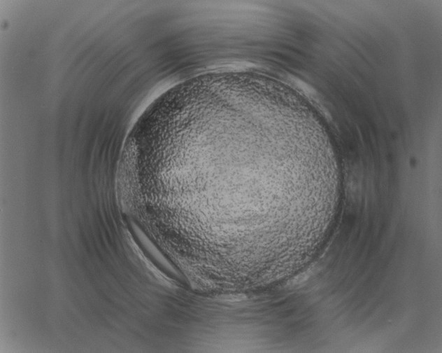 X0000067871186200604271728