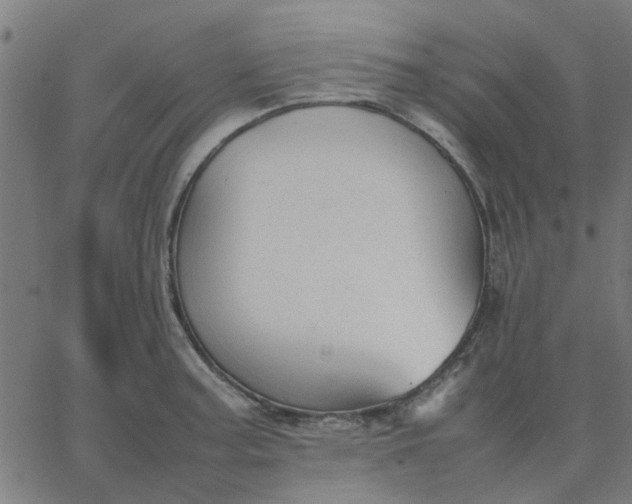 X0000067871187200604271728