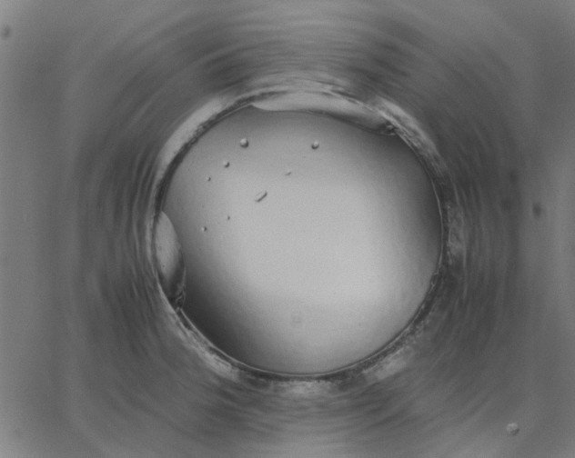 X0000067871188200604271728