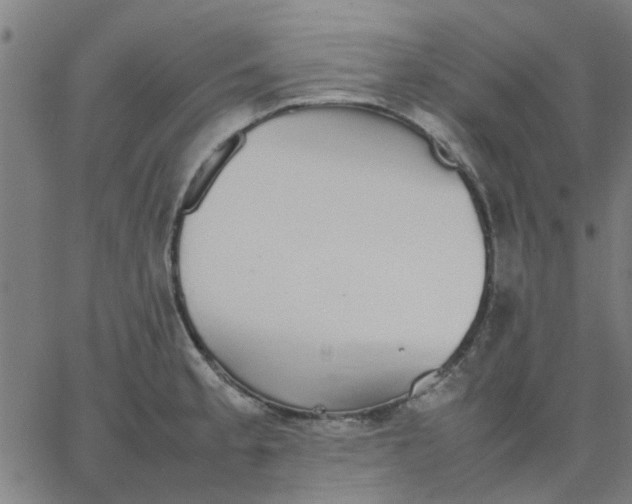 X0000067871189200604271728