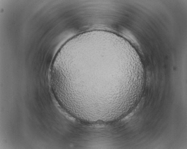 X0000067871190200604271728