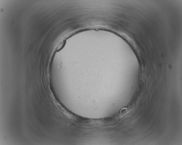 X0000067871191200604271728