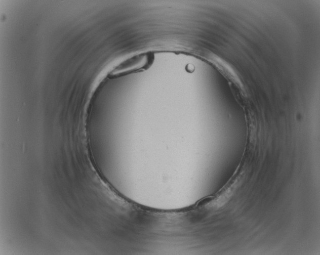 X0000067871192200604271728