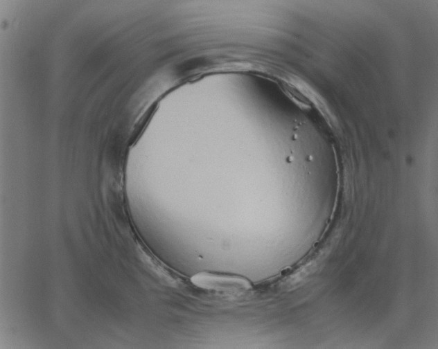 X0000067871193200604271728