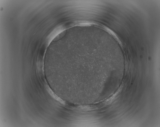 X0000067871194200604271728