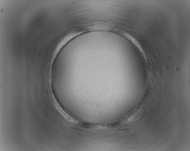 X0000067871195200604271728