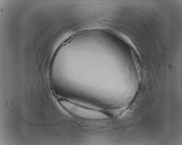 X0000067871197200604271728