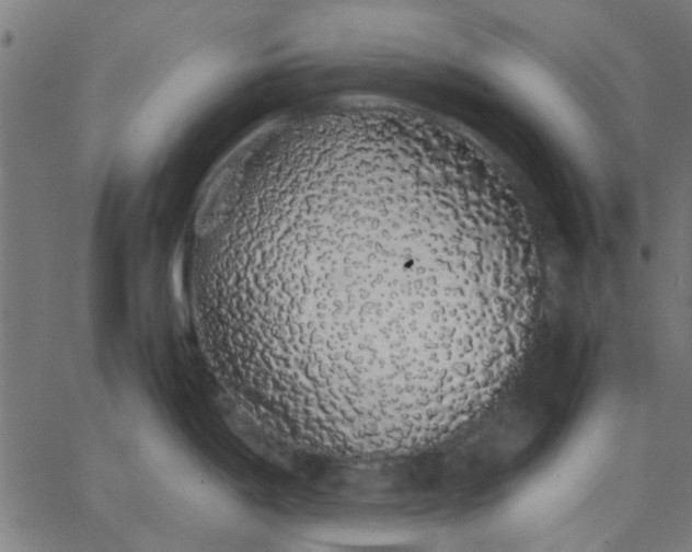 X0000067871198200604271728