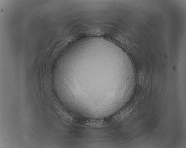 X0000067871201200604271727