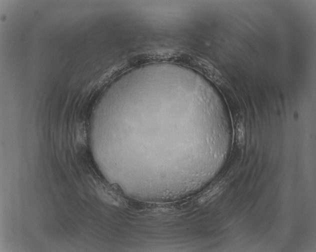 X0000067871204200604271727