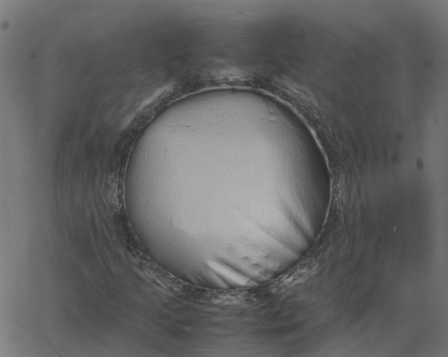 X0000067871205200604271727