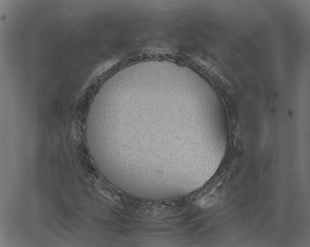 X0000067871207200604271727