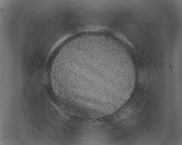 X0000067871208200604271727