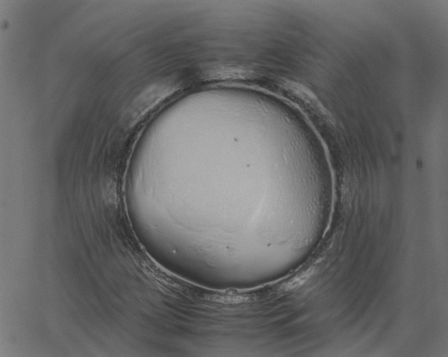 X0000067871209200604271727