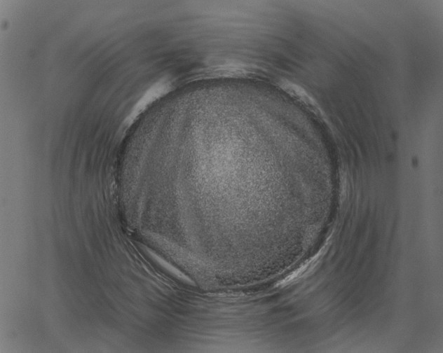 X0000067871210200604271727