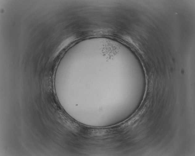 X0000067871211200604271727