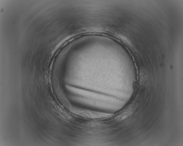 X0000067871212200604271727