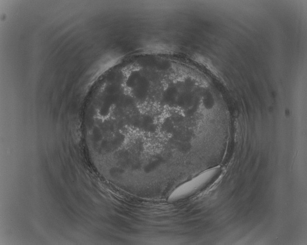 X0000067871213200604271727