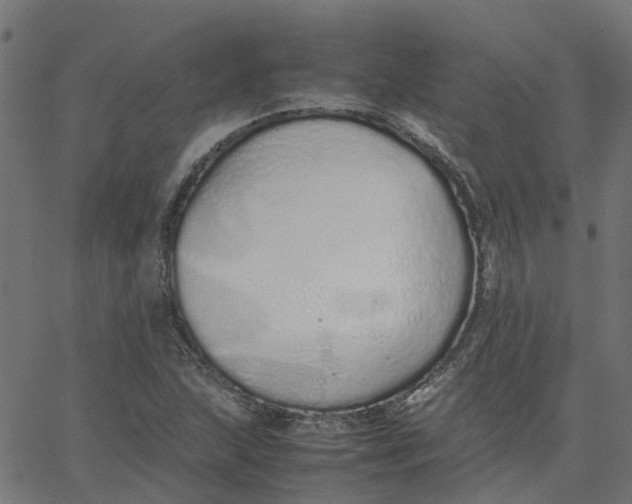 X0000067871215200604271727