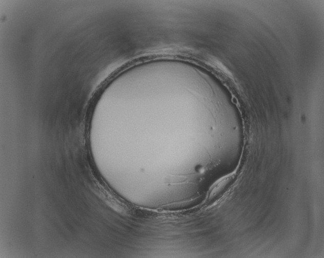 X0000067871216200604271727