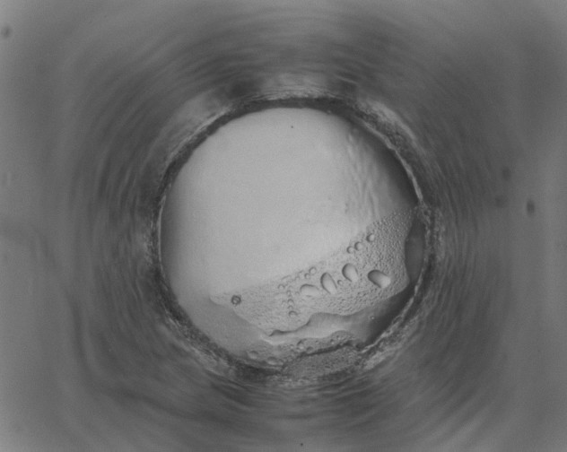 X0000067871217200604271727