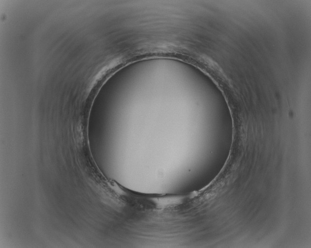 X0000067871218200604271727