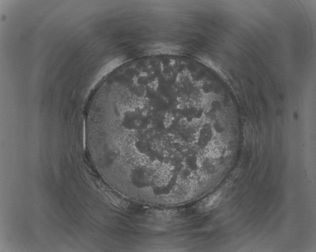 X0000067871219200604271727