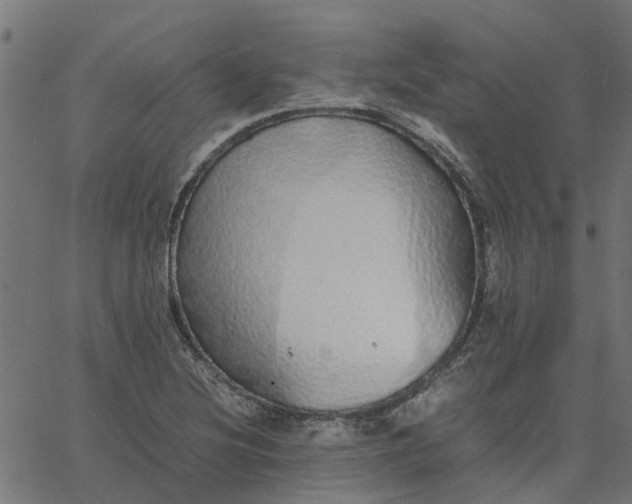 X0000067871220200604271727