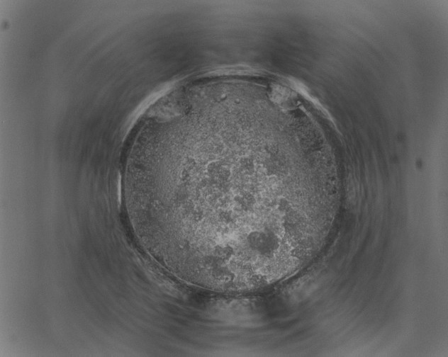 X0000067871221200604271727