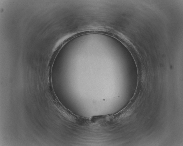 X0000067871222200604271727