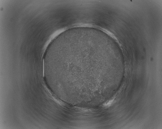 X0000067871223200604271727