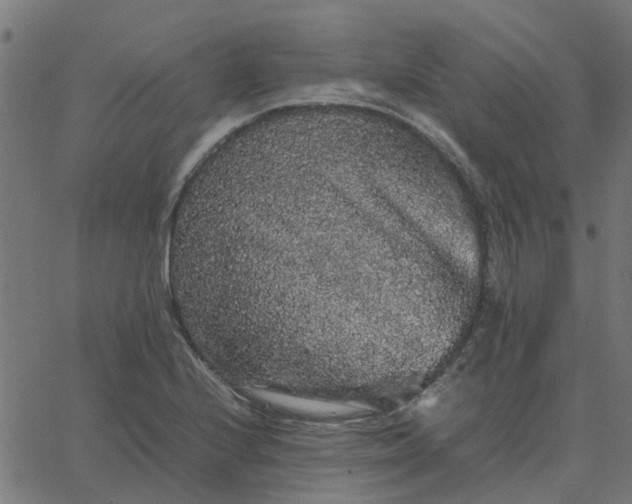 X0000067871224200604271727