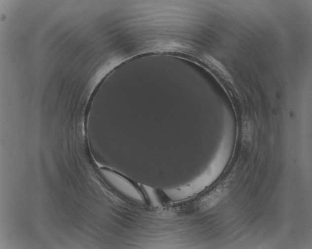 X0000067871226200604271727