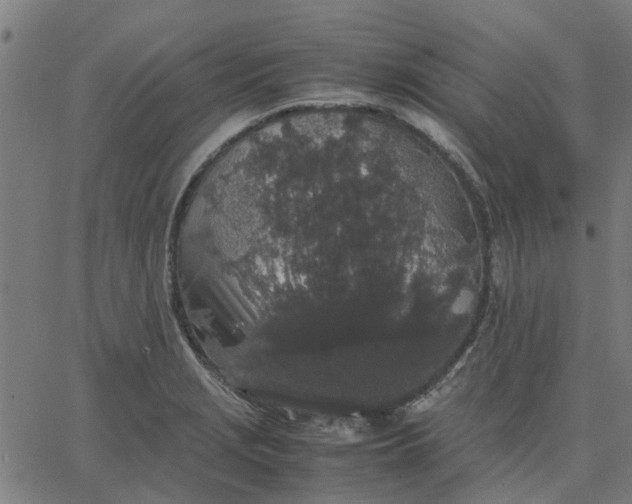 X0000067871229200604271727