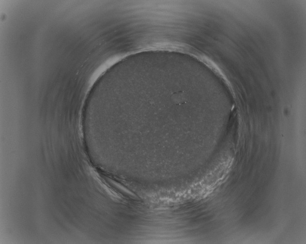 X0000067871230200604271727