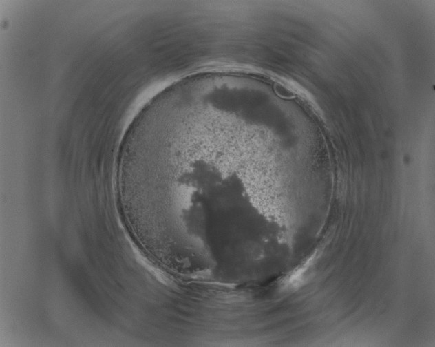 X0000067871231200604271727