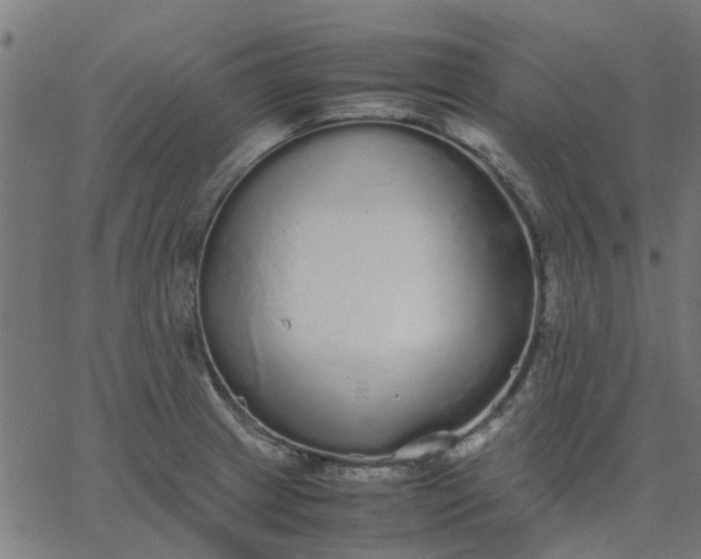 X0000067871233200604271727