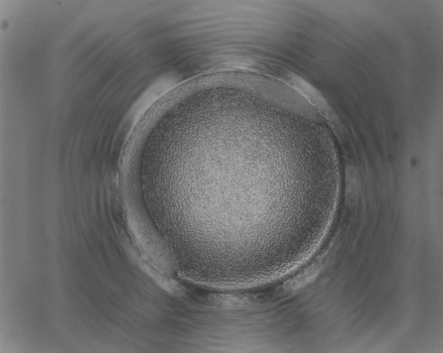 X0000067871234200604271727