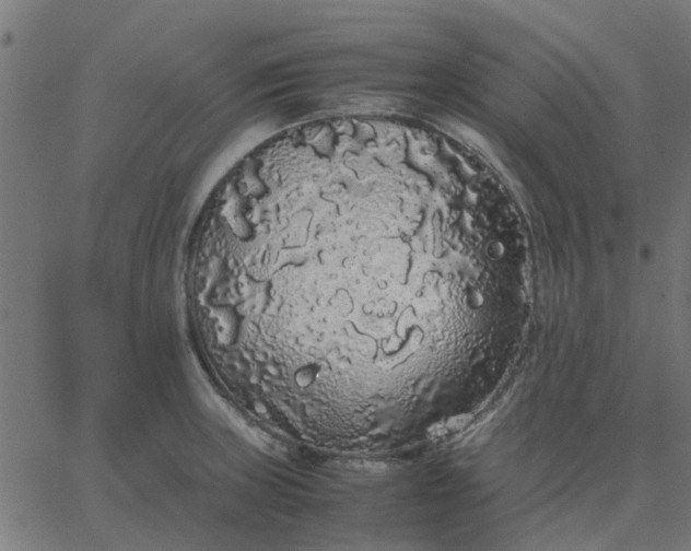 X0000067871235200604271727