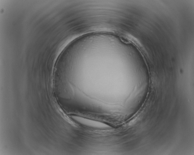 X0000067871236200604271727